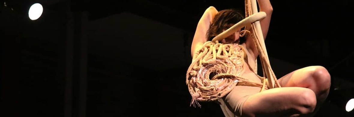 Continuous Deforming Landscape - Performing Arts Acts - StageLync